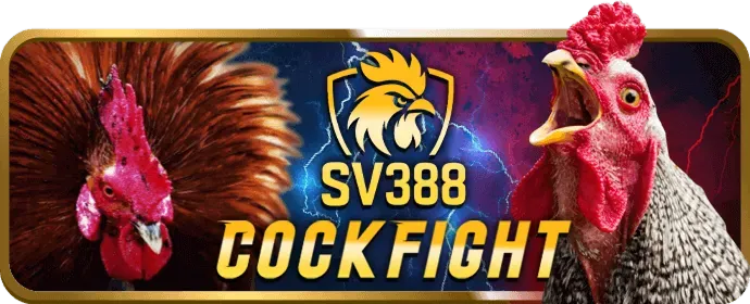 Đá gà trực tiếp xs9988 app